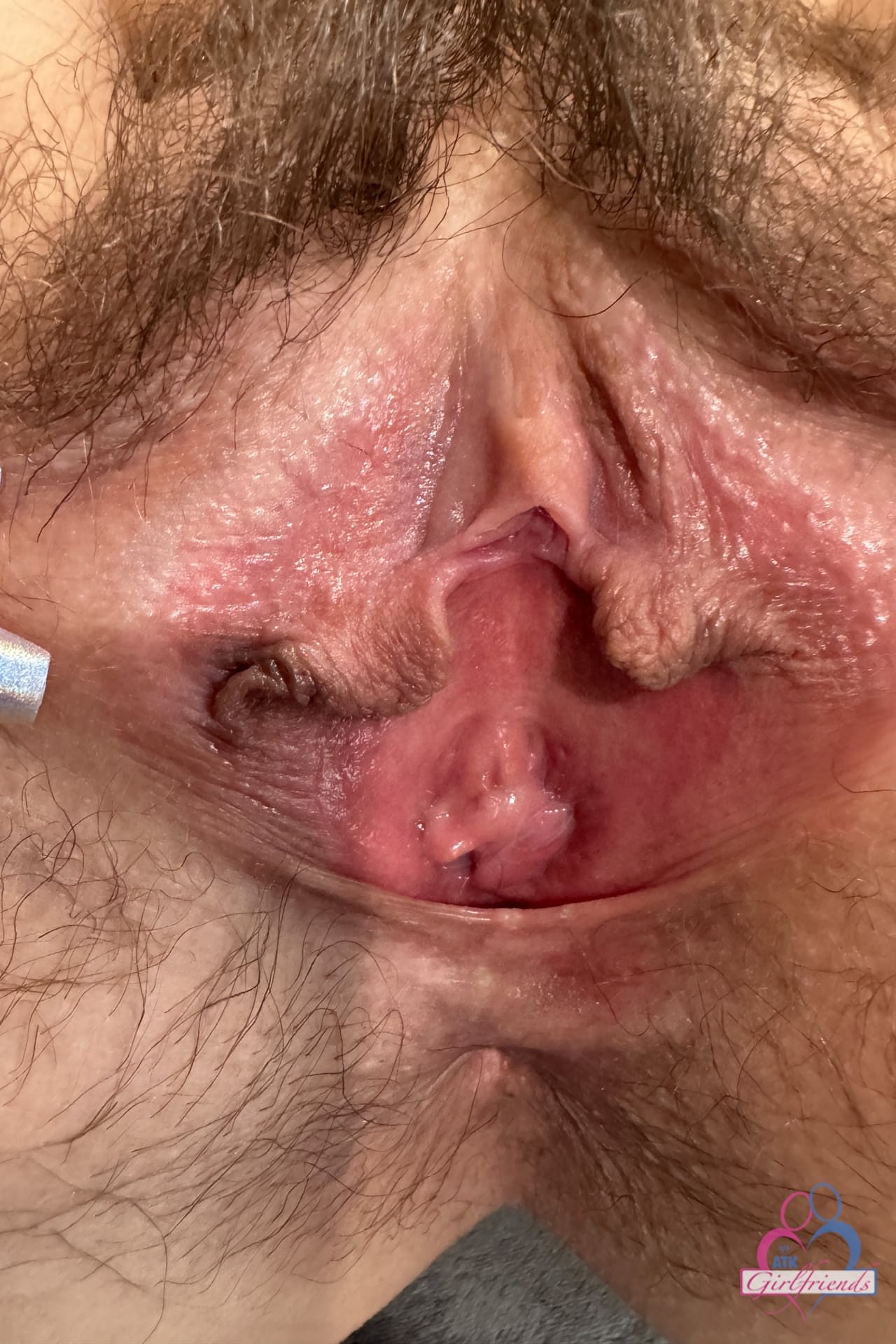 以 riley rose 为主角的 atk hairy 热门图片