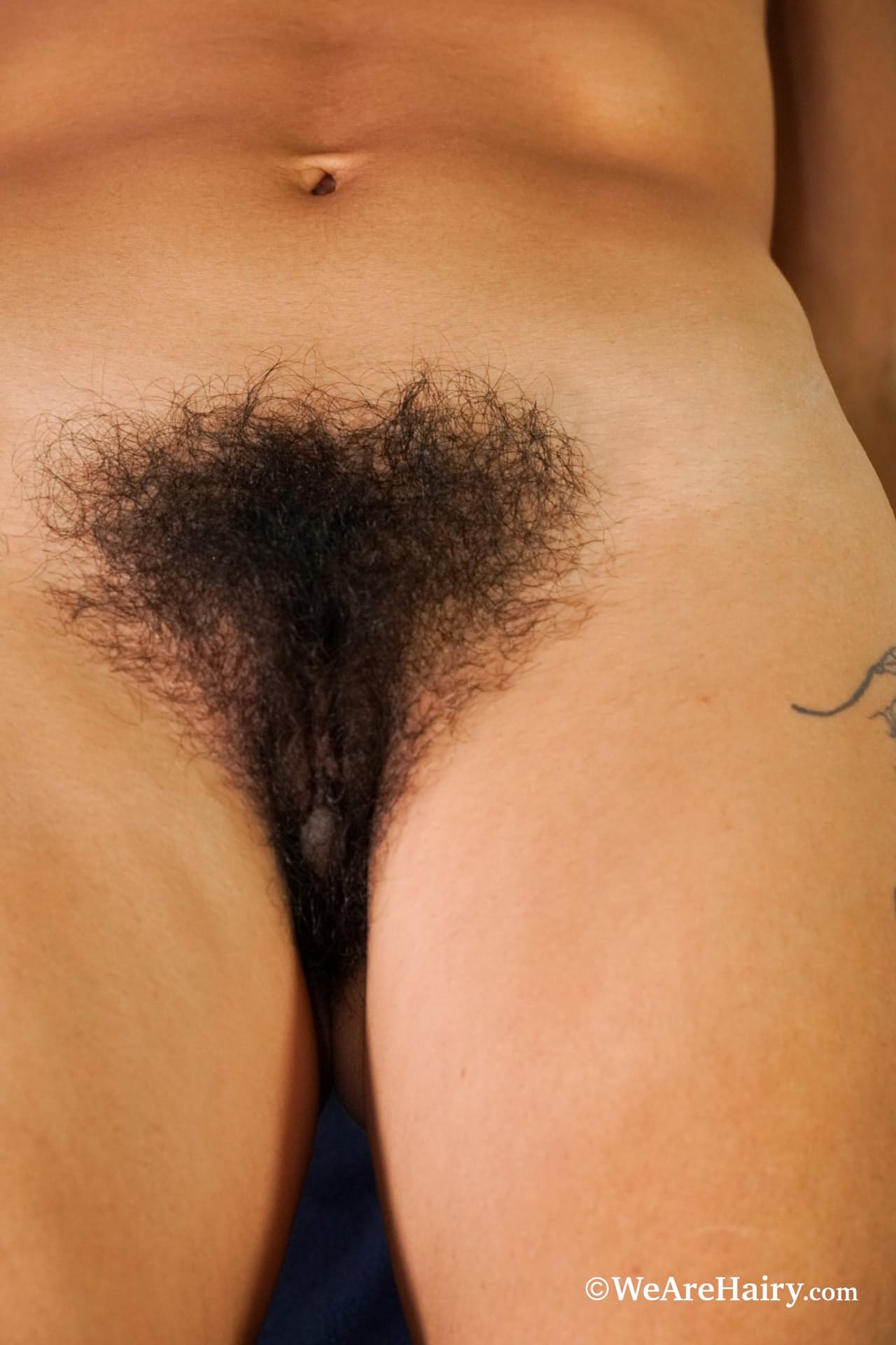 We Are Hairy 由 Sol M Nude Gallery 演出