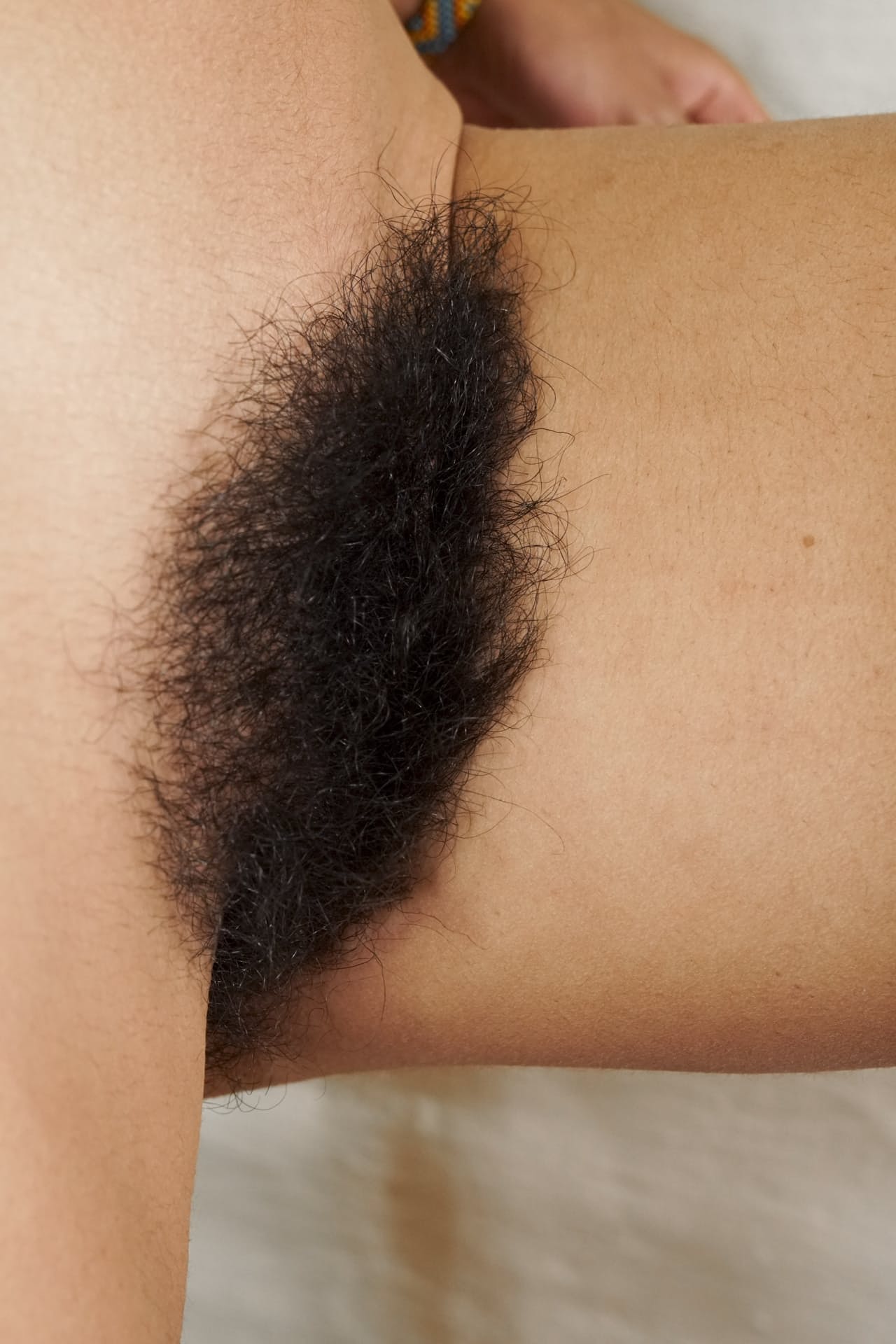 We Are Hairy 演唱者：Sol M Sex 照片