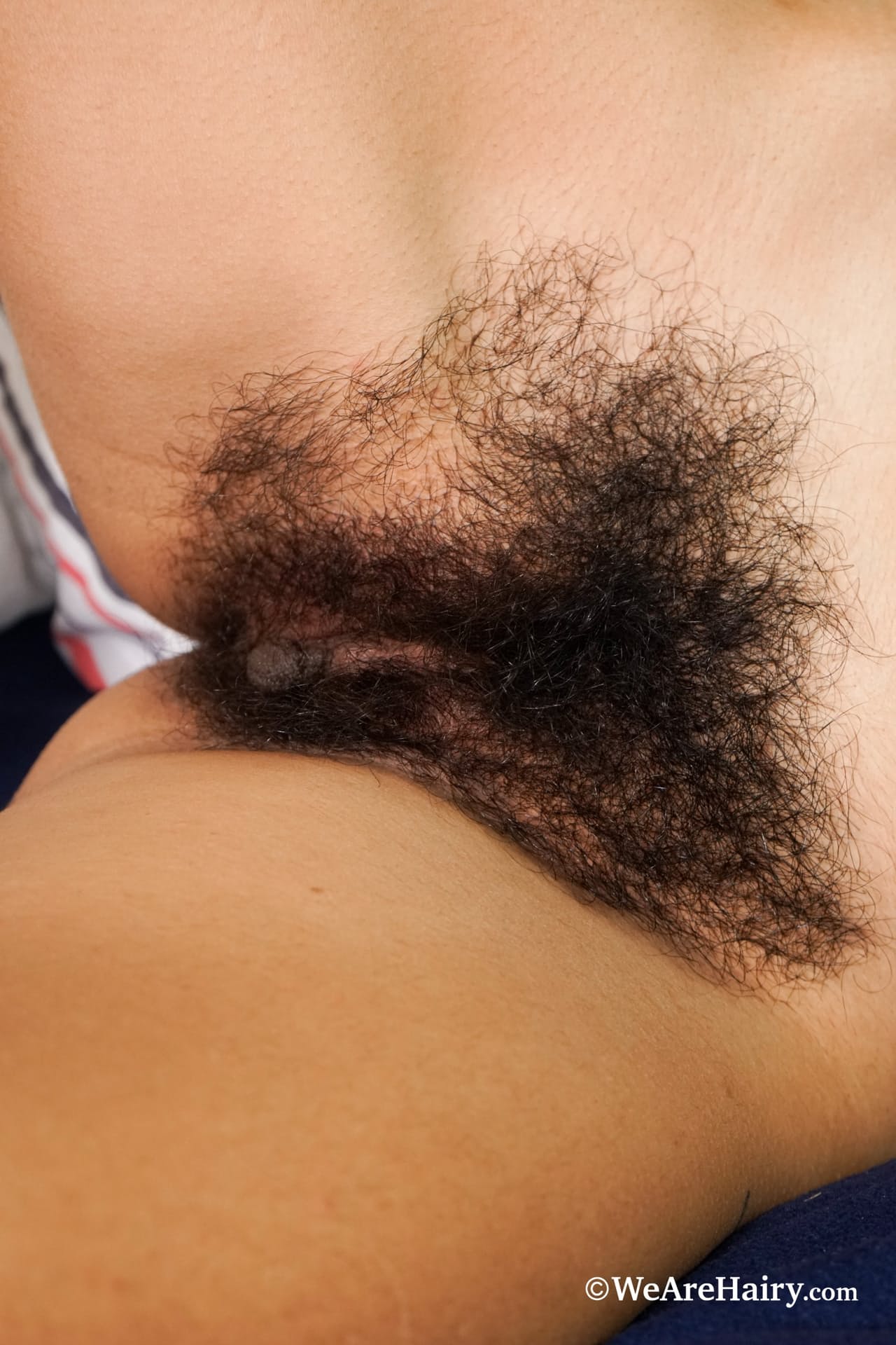 We Are Hairy 由 Sol M Nude Gallery 演出